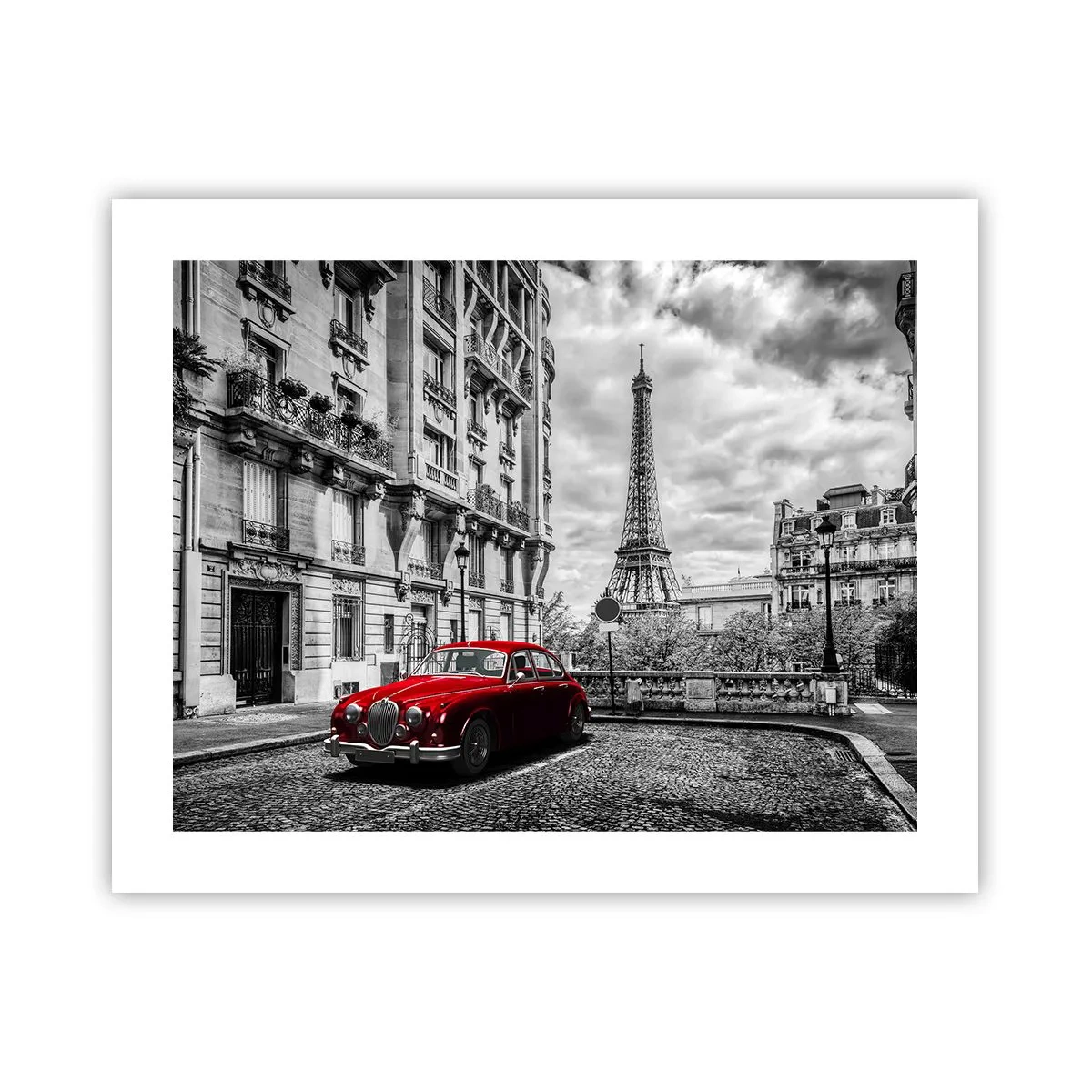 Affiche - Poster - Prédateur dans la ville - 50x40 cm