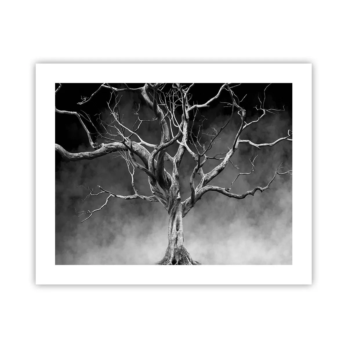 Affiche - Poster - Primordial et sacré - 50x40 cm
