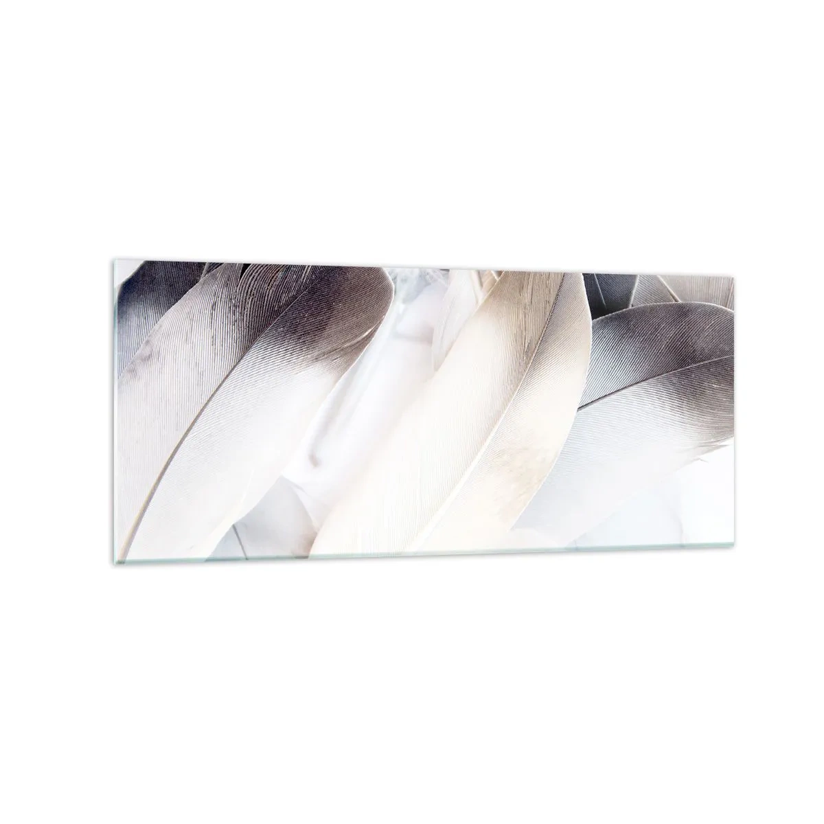 Impression sur verre - Image sur verre - Gros plan de plumes délicates dans des tons de blanc et de gris - 120x50cm - Presque angélique - Décoration murale moderne pour le salon et la chambre ARTTOR