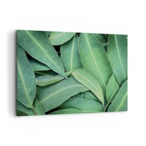 Impression sur toile - Image sur toile - Gros plan de feuilles vertes créant un motif naturel - 120x80cm - Juteux et frais - Décoration murale moderne pour le salon et la chambre ARTTOR