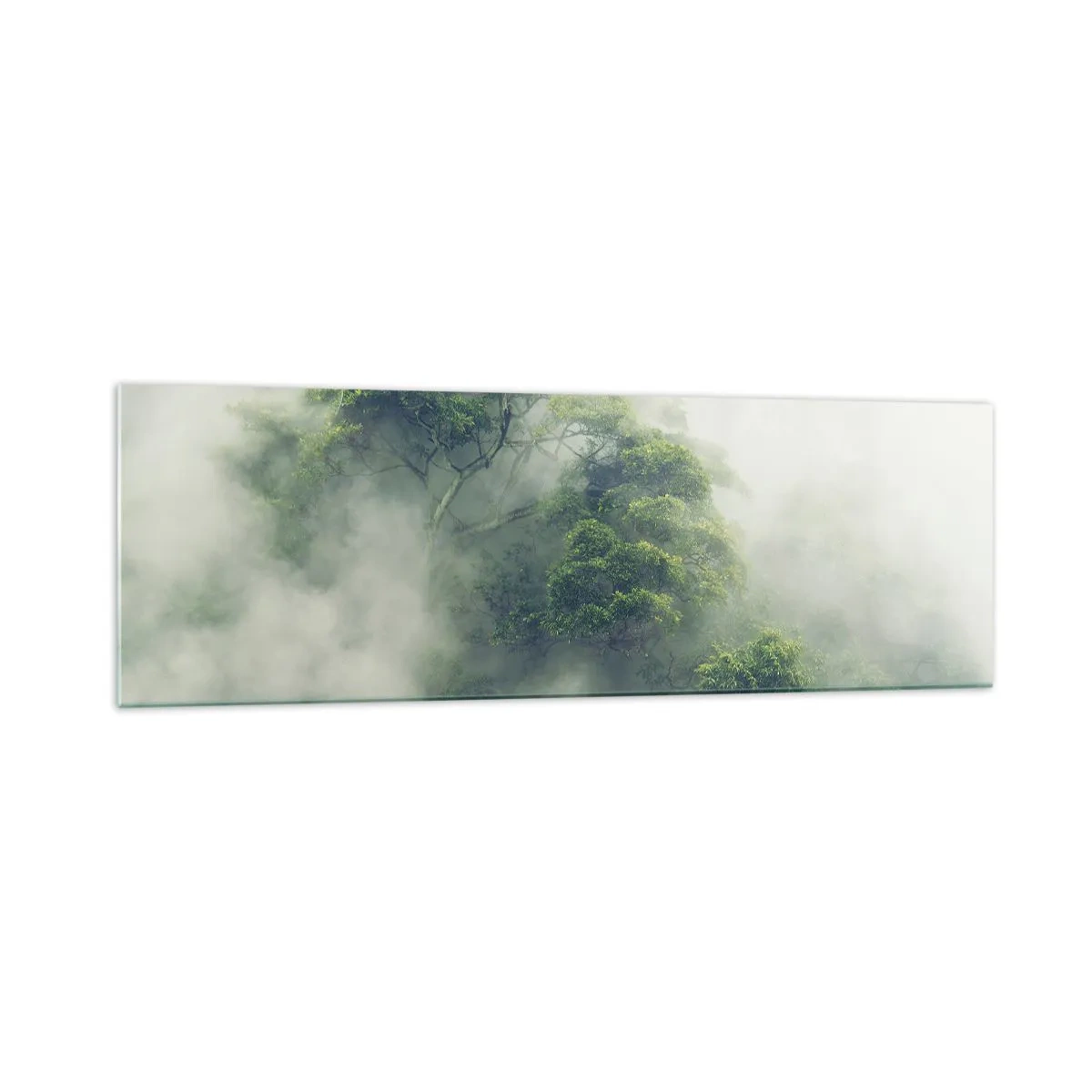 Impression sur verre - Image sur verre - Arbres verts dans un épais brouillard sur fond naturel - 160x50cm - Enveloppé de brouillard - Décoration murale moderne pour le salon et la chambre ARTTOR