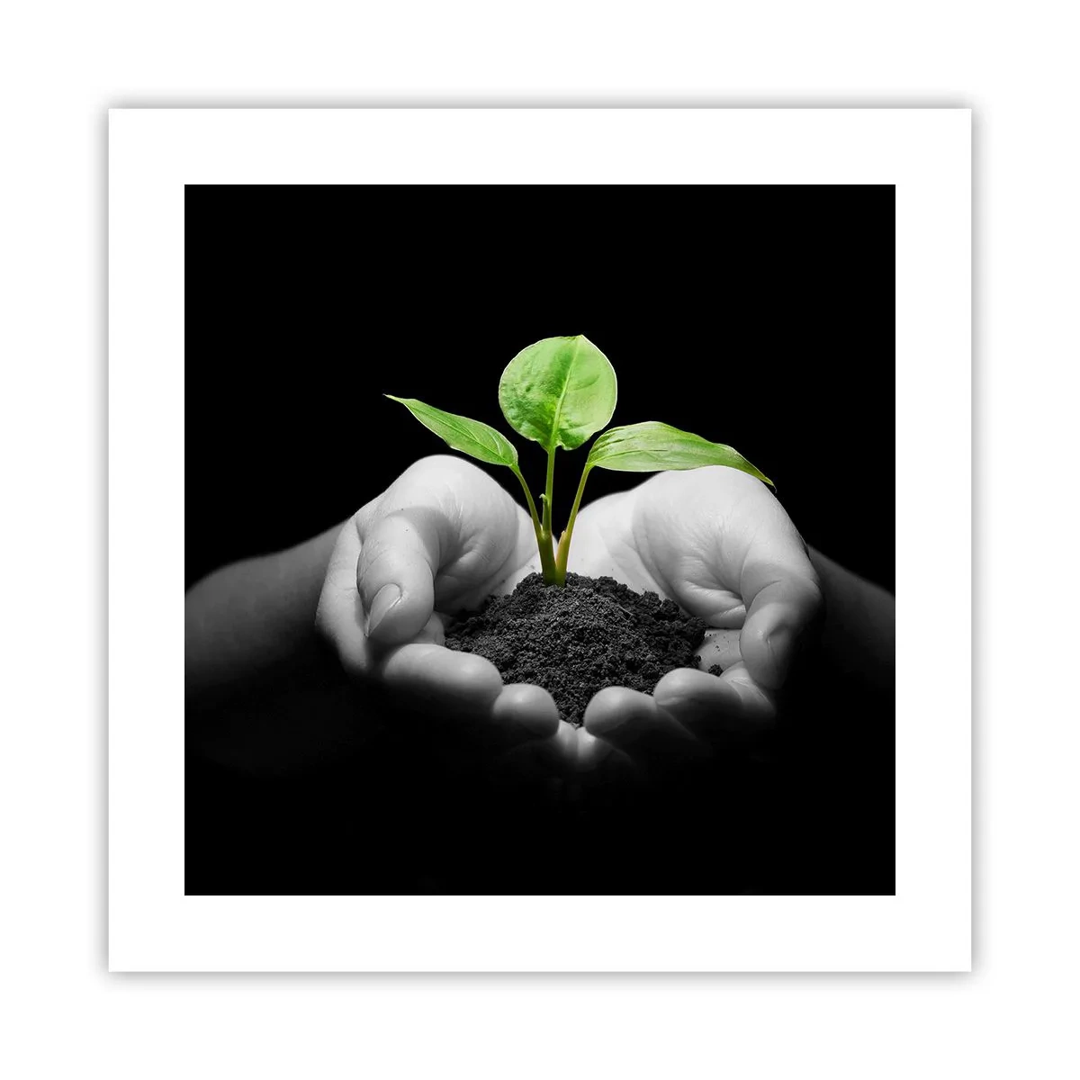 Affiche - Poster - J'aime la nature, je la protège - 40x40 cm