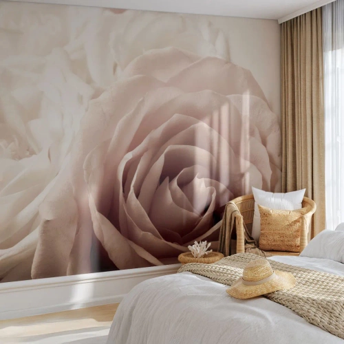 Papier Peint Photo Premium Sand - Gros plan de roses crème dans une lumière romantique - 100x70cm - Au coeur d'ue la rose - Décoration murale moderne pour le salon et la chambre ARTTOR