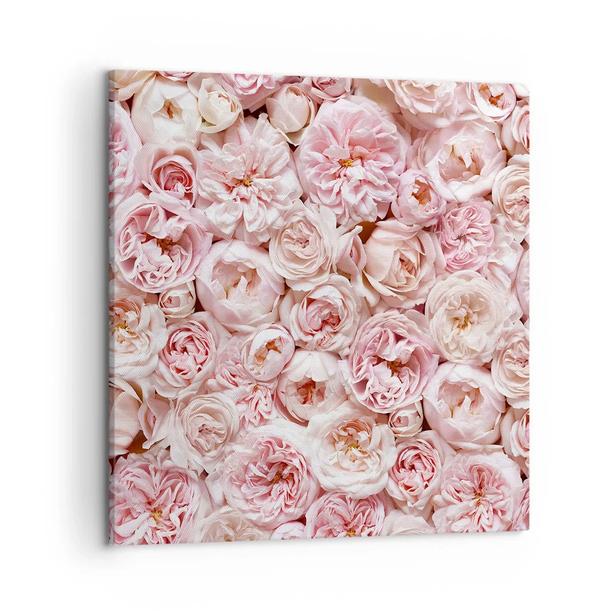 Impression sur toile - Image sur toile - Un lit de roses - 50x50 cm