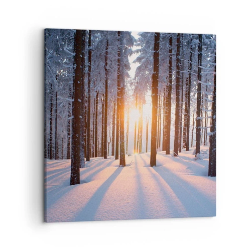 Impression sur toile - Image sur toile - Clairement en noir et blanc - 50x50 cm