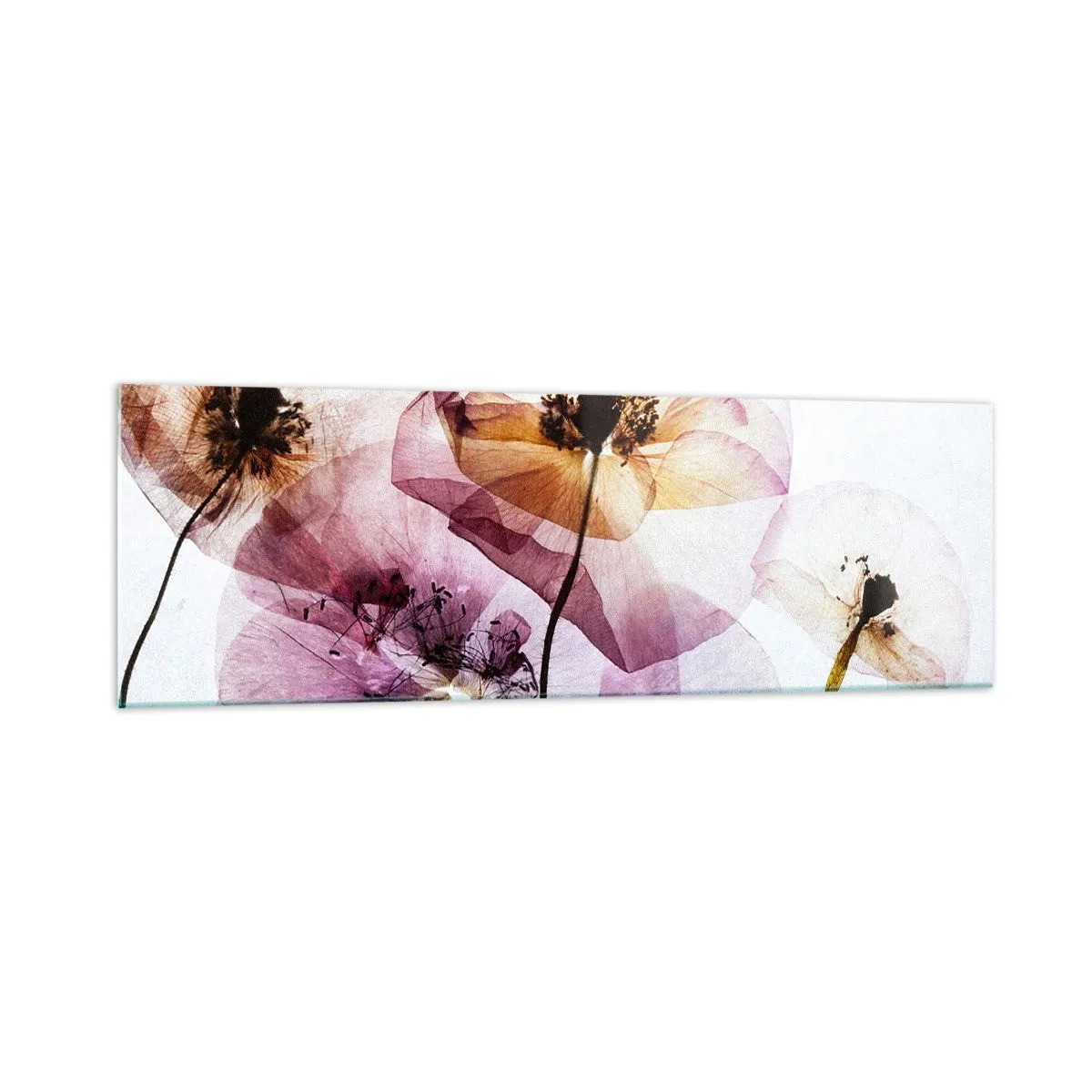 Impression sur verre - Image sur verre - Fleurs délicates et transparentes aux tons pastel - 160x50cm - Corps de fleurs transparente - Décoration murale moderne pour le salon et la chambre ARTTOR
