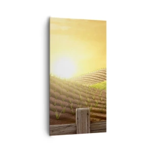 Impression sur toile - Image sur toile - Une ferme comme dans un conte de fées - 65x120 cm