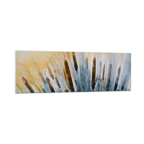 Impression sur verre - Image sur verre - Roseaux pittoresques sous les rayons du soleil - 160x50cm - Fraicheur de l'eau, chaleur du soleil - Décoration murale moderne pour le salon et la chambre ARTTOR