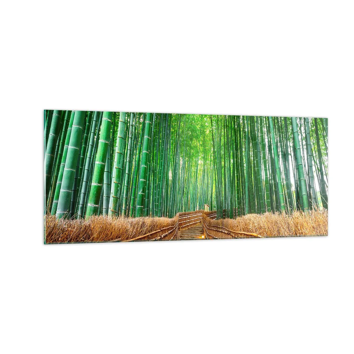 Impression sur verre - Image sur verre - L'essence de la nature asiatique - 100x40 cm