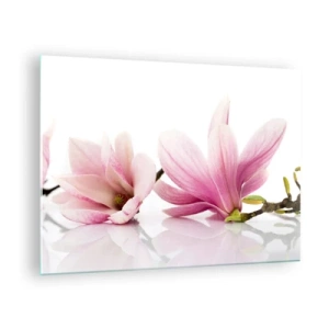 Impression sur verre - Image sur verre - Fleurs de magnolia délicates sur fond blanc - 70x50cm - Délicat comme une brise de printemps - Décoration murale moderne pour le salon et la chambre ARTTOR