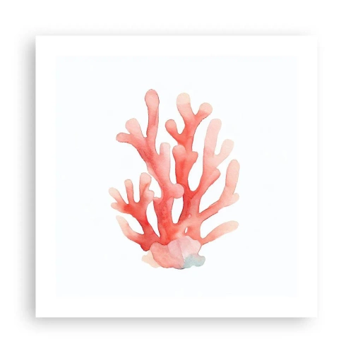 Affiche - Poster - Corail couleur corail - 50x50 cm