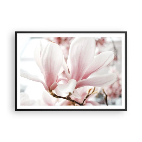 Affiche dans un cadre noir - Poster - Fleurs de magnolia délicates aux tons pastel - 100x70cm - Abondance de tendresse - Décoration murale moderne pour le salon et la chambre ARTTOR
