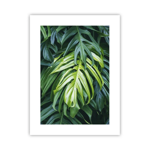 Affiche - Poster - Immergez-vous dans la fraîcheur - 30x40 cm