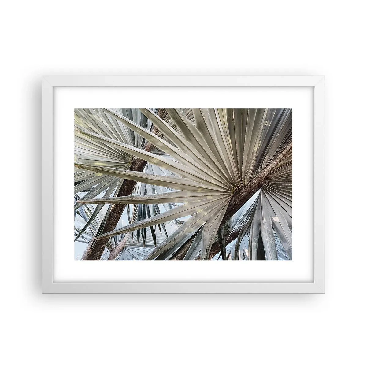 Affiche dans un cadre blanc - Poster - Evantail sous les tropiques - 40x30 cm