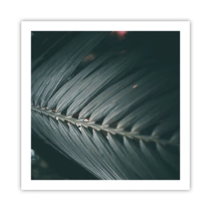 Affiche - Poster - Précision de la nature - 60x60 cm