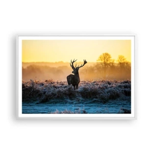 Affiche dans un cadre blanc - Poster - Couronné pour sa succession - 100x70 cm