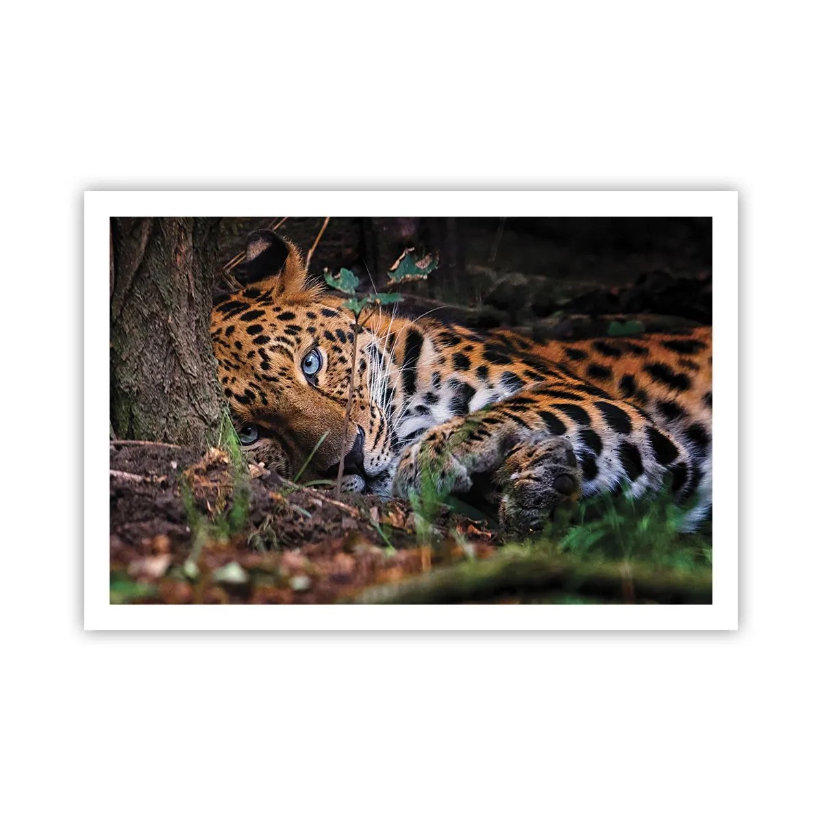 Affiche - Poster - Fais-moi confiance - 91x61 cm