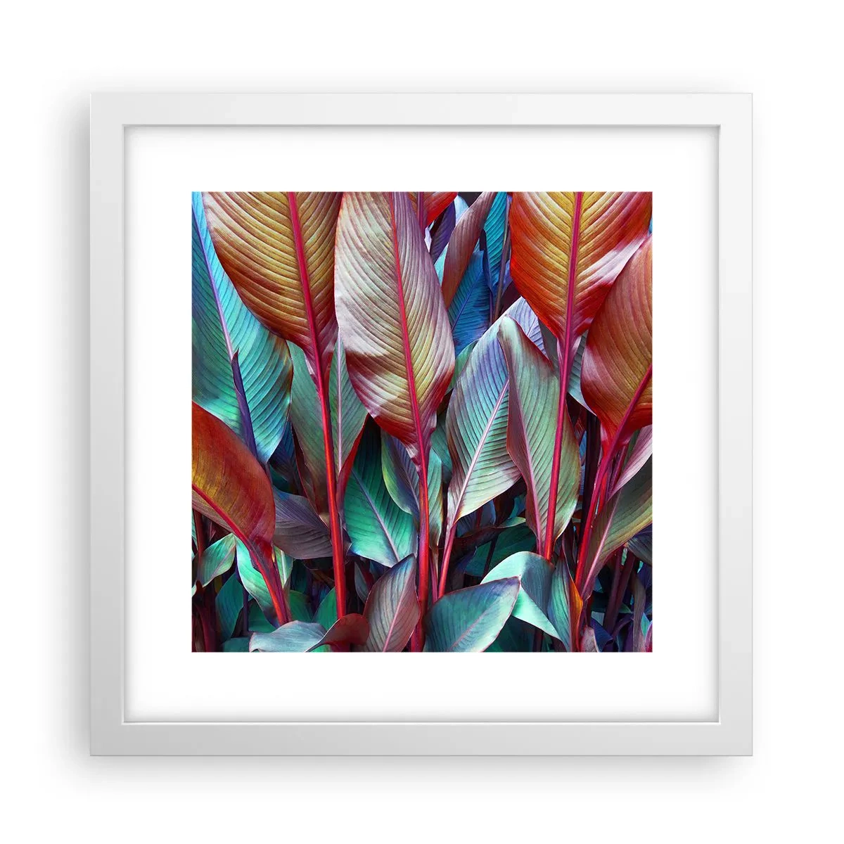 Affiche dans un cadre blanc - Poster - Un fourré coloré - 30x30 cm