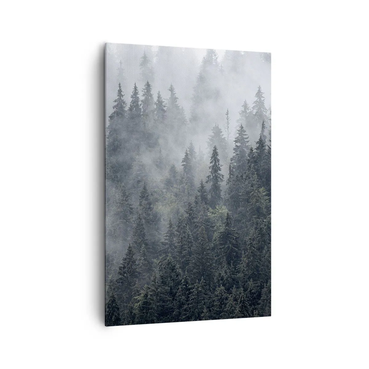Impression sur toile - Image sur toile - Forêt de conifères brumeuse aux tons gris et verts - 80x120cm - Aube de la forêt - Décoration murale moderne pour le salon et la chambre ARTTOR