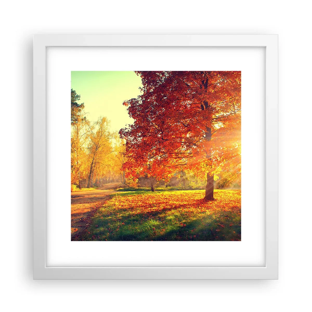 Affiche dans un cadre blanc - Poster - Le roux est beau - 30x30 cm