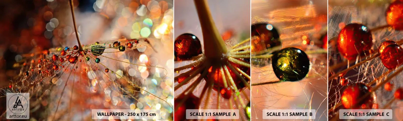 Échantillon De Papier Peint Standard Eco - Enfilé sur un fil d'araignée - Abstraction, toile d'araignée, Morceau - 100x30 cm