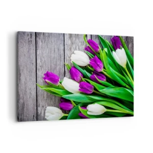 Impression sur toile - Image sur toile - Un bouquet de tulipes violettes et blanches sur un fond en bois - 100x70cm - Le jour des vacances de printemps - Décoration murale moderne pour le salon et la chambre ARTTOR
