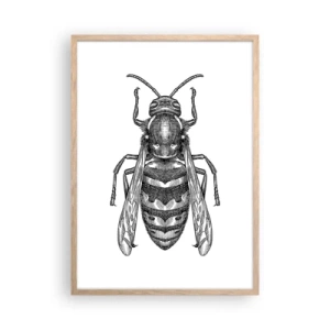 Affiche dans un chêne clair - Poster - D'une planète d'insectes - 50x70 cm