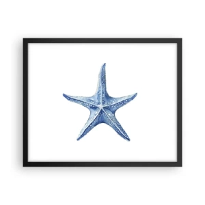 Affiche dans un cadre noir - Poster - Étoile de mer - 50x40 cm
