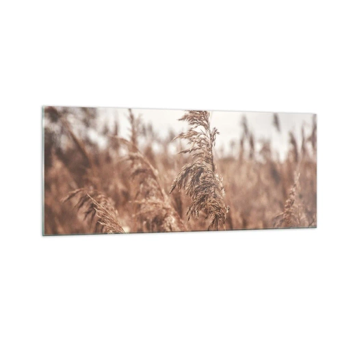 Impression sur verre - Image sur verre - C'est déjà l'automne dans les champs - 100x40 cm