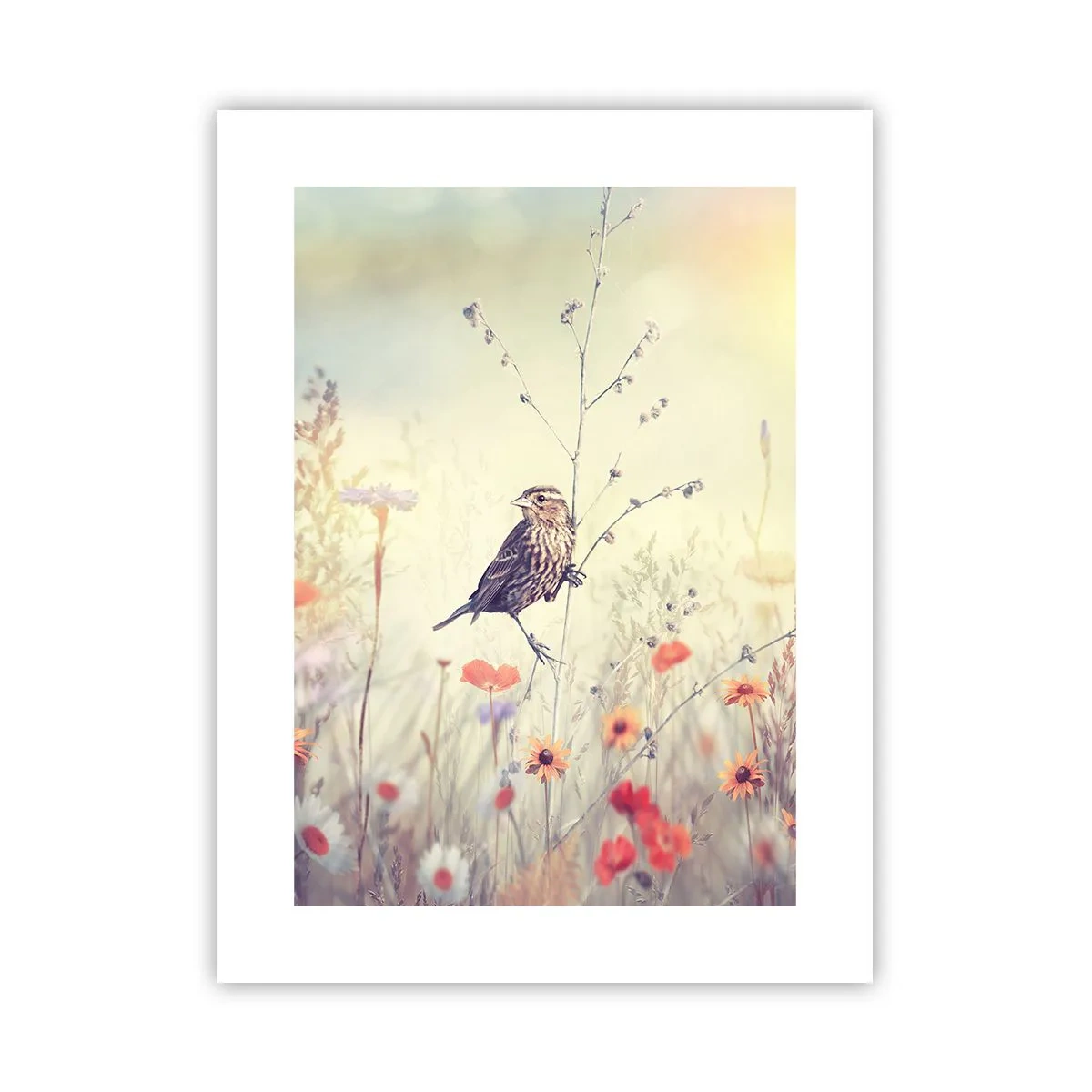 Affiche - Poster - Portrait d'oiseau sur pré en fond - 30x40 cm