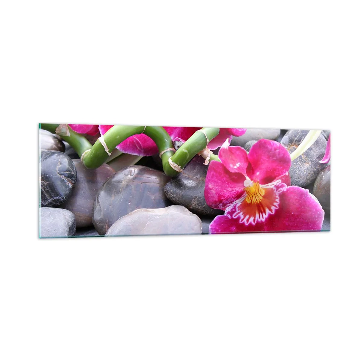 Impression sur verre - Image sur verre - Refroidir et chauffer - 90x30 cm