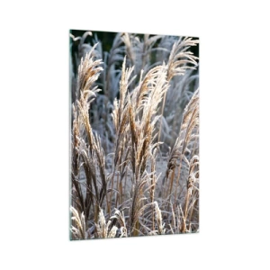 Impression sur verre - Image sur verre - Brins d'herbe d'hiver recouverts de givre sur un fond vert foncé - 70x100cm - Habillé de givre - Décoration murale moderne pour le salon et la chambre ARTTOR