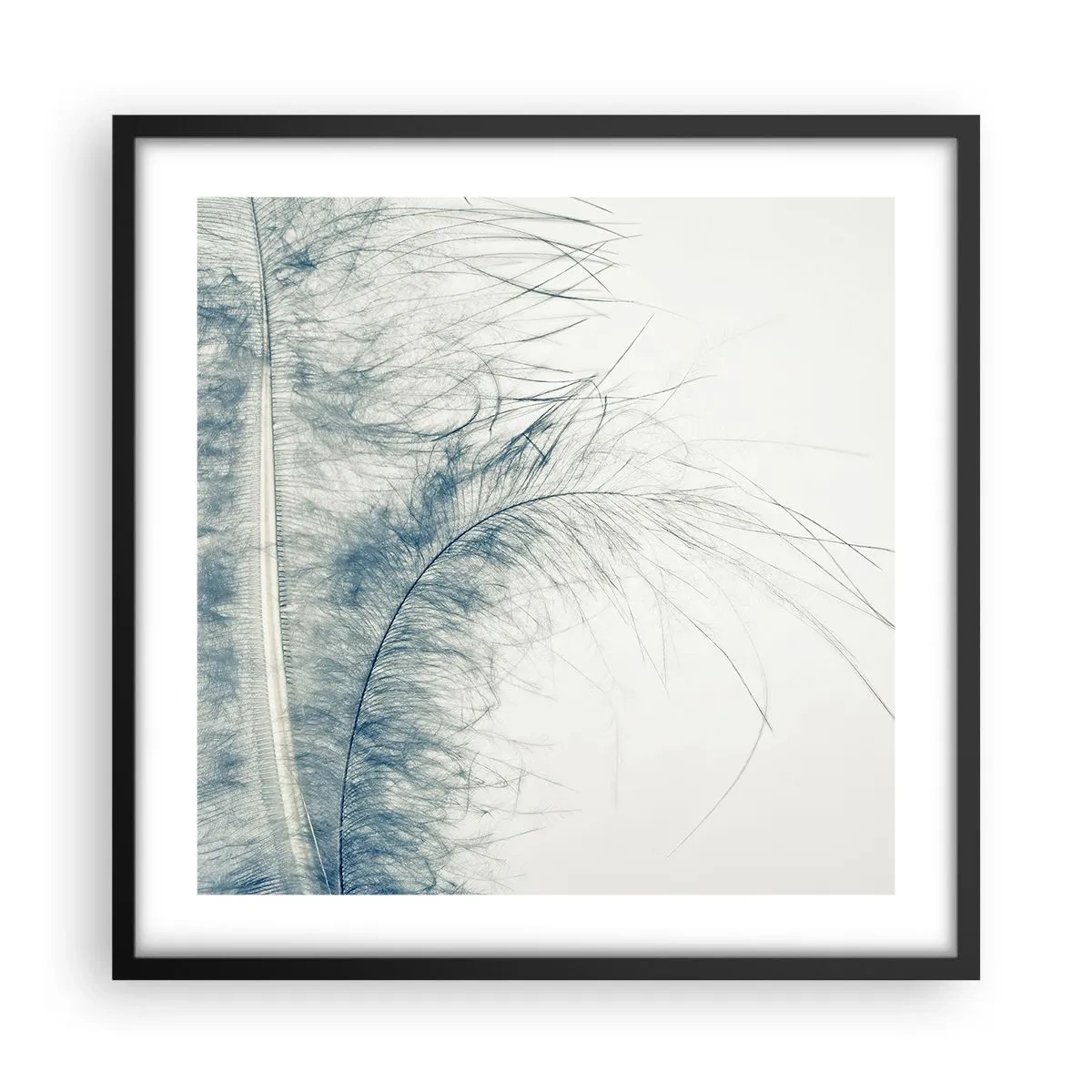 Affiche dans un cadre noir - Poster - Les sept natures - 50x50 cm