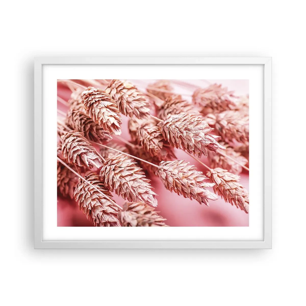 Affiche dans un cadre blanc - Poster - Une cascade florale en rose - 50x40 cm