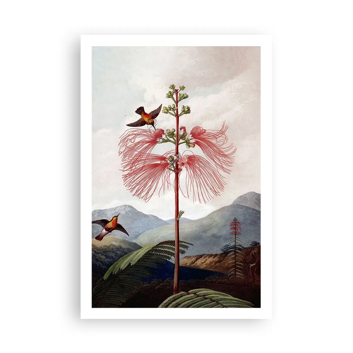 Affiche - Poster - Dans un paradis tropical - 61x91 cm