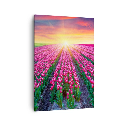 Impression sur toile - Image sur toile - Un champ de tulipes au coucher du soleil - 70x100cm - Ferme de la beauté - Décoration murale moderne pour le salon et la chambre ARTTOR