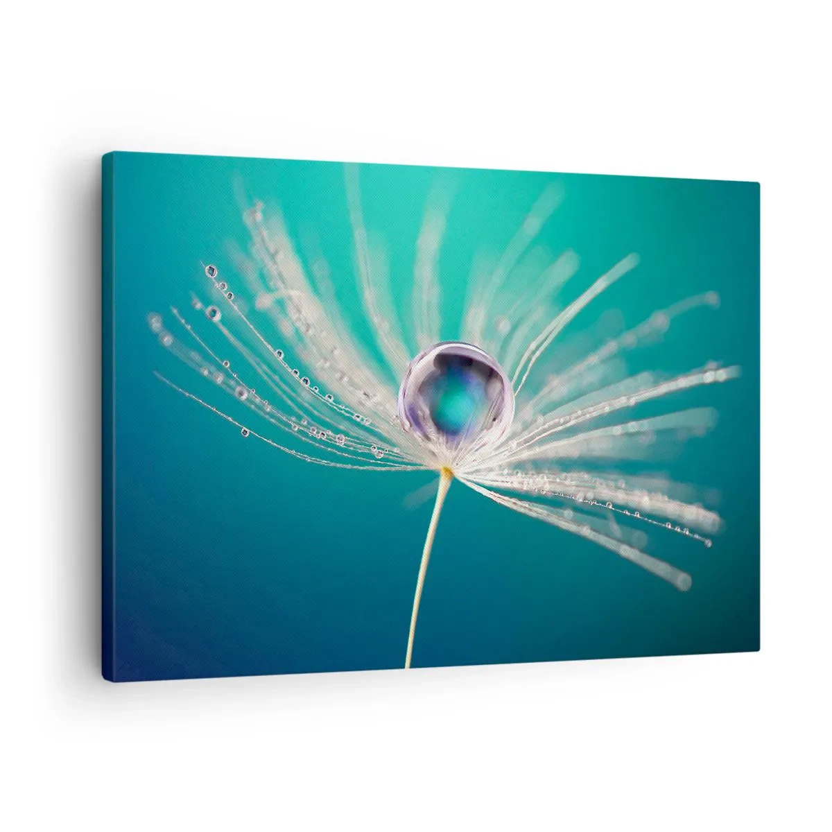 Impression sur toile - Image sur toile - Macro d'une goutte d'eau sur une délicate graine de pissenlit - 70x50cm - Moment mystique - Décoration murale moderne pour le salon et la chambre ARTTOR