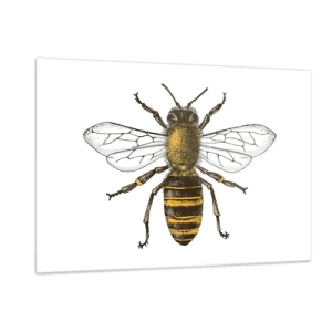 Impression sur verre - Image sur verre - Illustration détaillée d'une abeille sur fond blanc - 120x80cm - Belle et bonne - Décoration murale moderne pour le salon et la chambre ARTTOR
