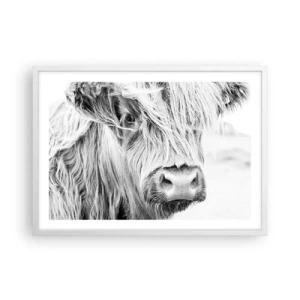 Affiche dans un cadre blanc - Poster - Sauvagerie écossaise - 70x50 cm