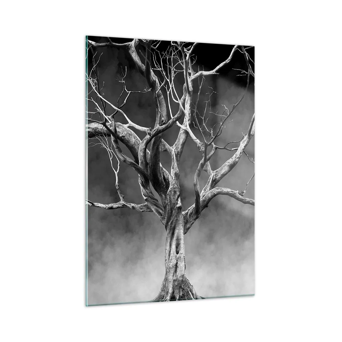 Impression sur verre - Image sur verre - Arbre noir contre le brouillard - 50x70cm - Primordial et sacré - Décoration murale moderne pour le salon et la chambre ARTTOR
