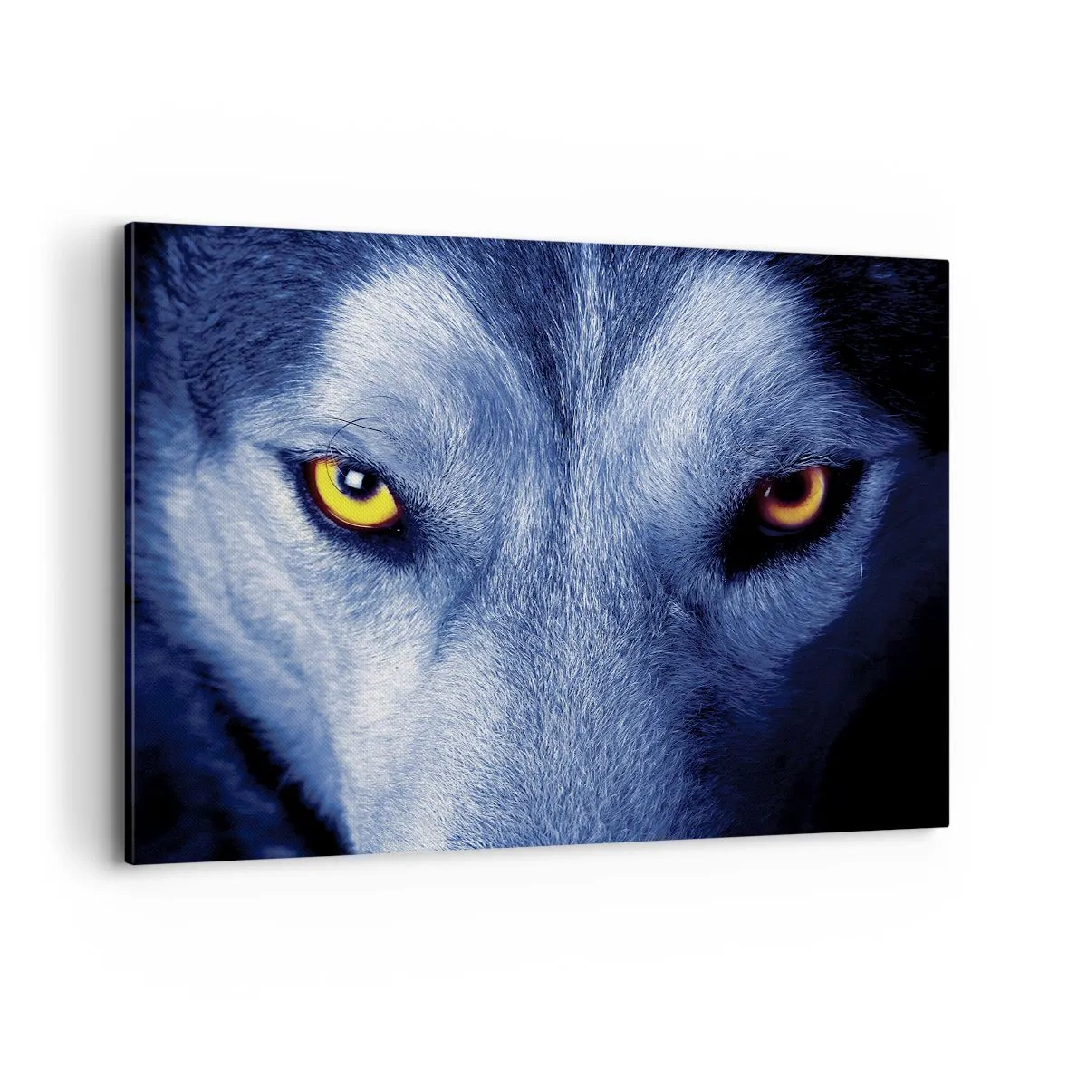 Impression sur toile - Image sur toile - Gros plan du regard intense d'un loup sur un fond sombre - 120x80cm - Regars hypnotique - Décoration murale moderne pour le salon et la chambre ARTTOR