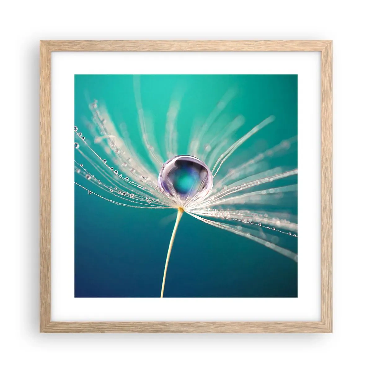 Affiche dans un chêne clair - Poster - Moment mystique - 40x40 cm