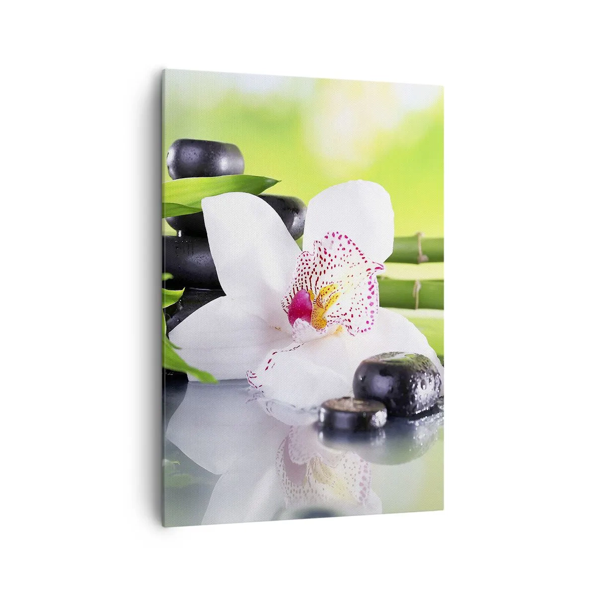 Impression sur toile - Image sur toile - Orchidée, pierres et bambou dans une composition spa harmonieuse - 70x100cm - Raffraîchissement de fraîcheur - Décoration murale moderne pour le salon et la chambre ARTTOR