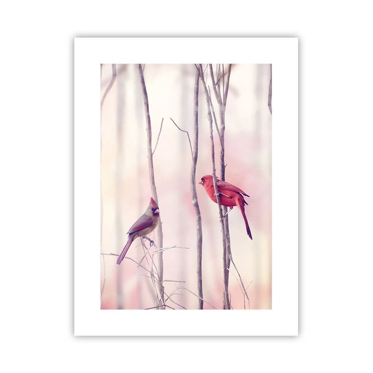 Affiche - Poster - Conte de la forêt rose - 30x40 cm