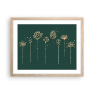 Affiche dans un chêne clair - Poster - La famille Plante - 50x40 cm