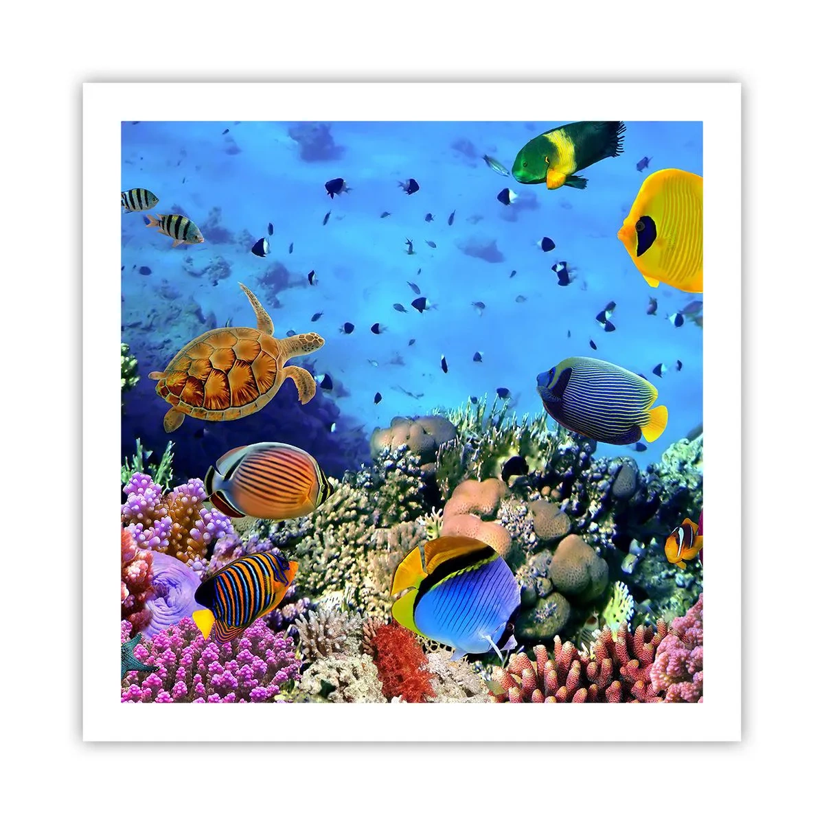 Affiche - Poster - Et que sait-on de la vie… - 60x60 cm