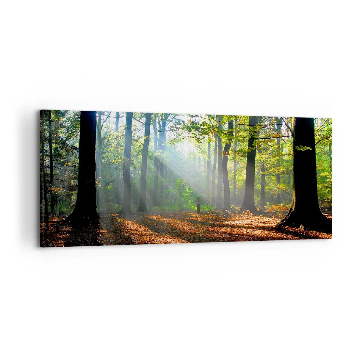 Impression sur toile - Image sur toile - Ombres et lumières - 100x40 cm