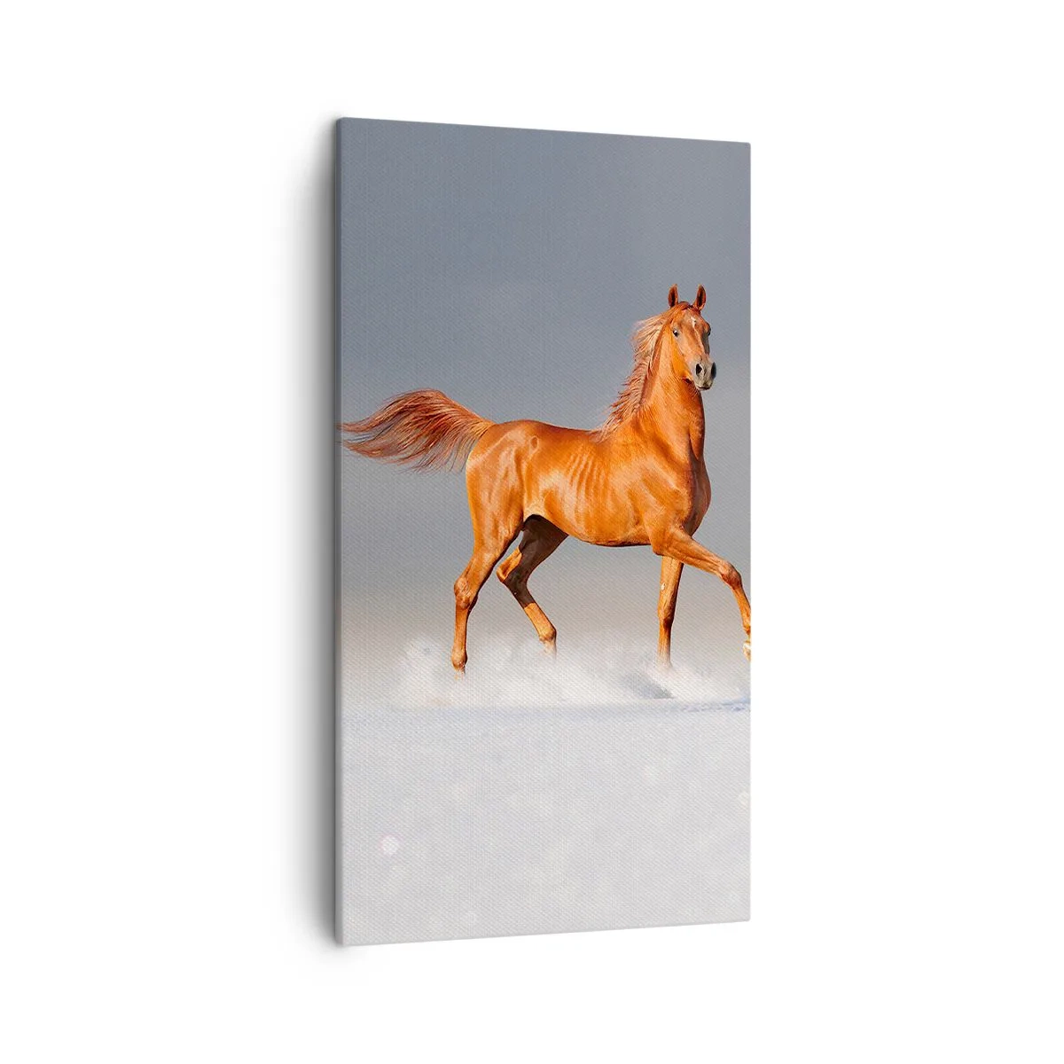 Impression sur toile - Image sur toile - La grâce dansante - 45x80 cm