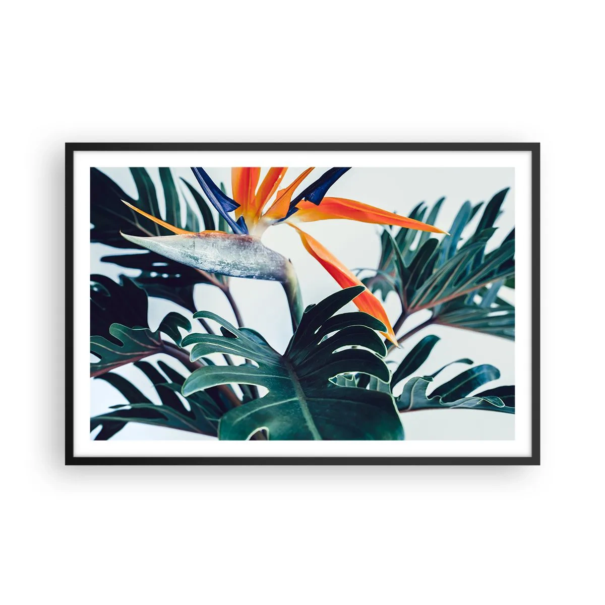 Affiche dans un cadre noir - Poster - Le buisson oiseaux - 91x61 cm
