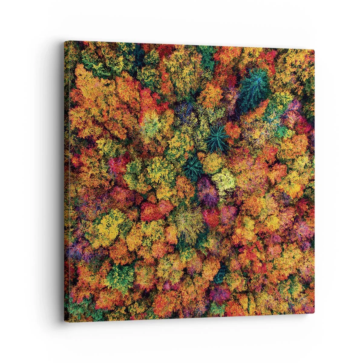 Impression sur toile - Image sur toile - Bouquet d'arbres automnal - 30x30 cm